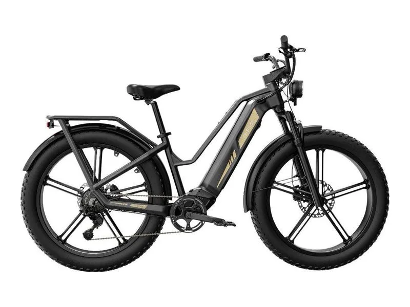 Fiido Titan fat-tyre cargo e-bike, side profile on white background