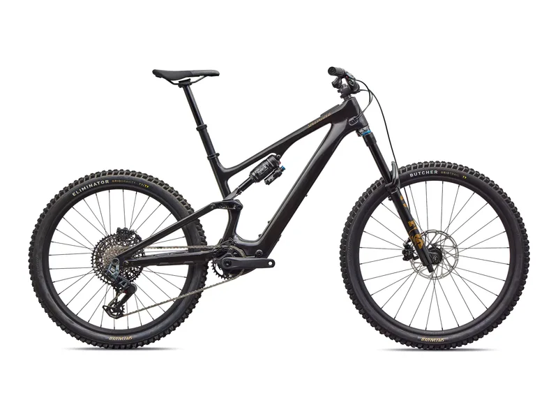 Specialized Turbo Levo SL 2 Expert, side profile on white background